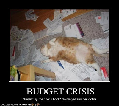 budget+crisis+cat.jpg