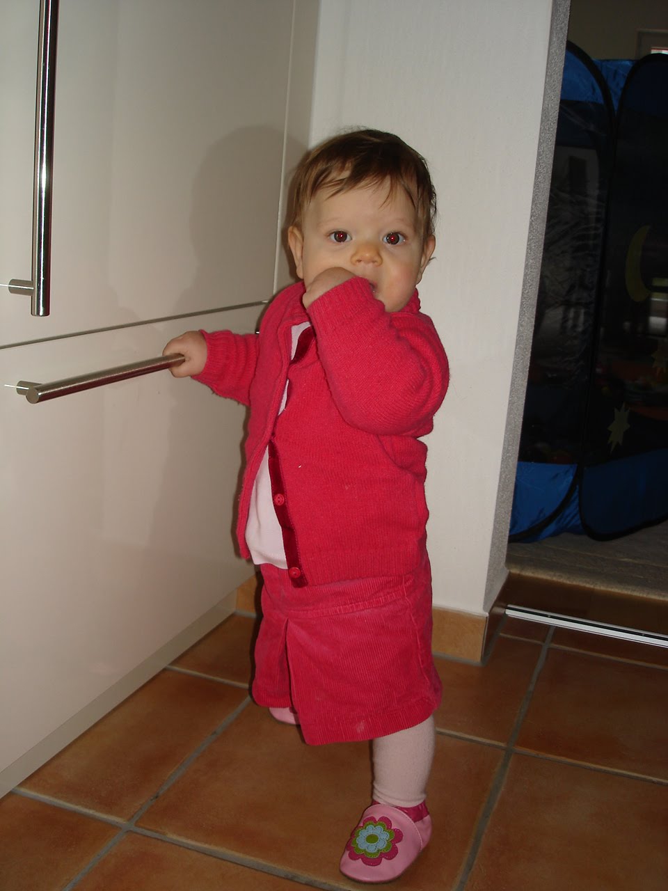 [DSC01681.JPG]