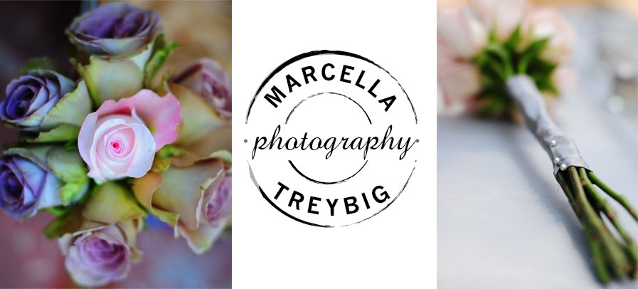 Marcella Treybig .Photography.
