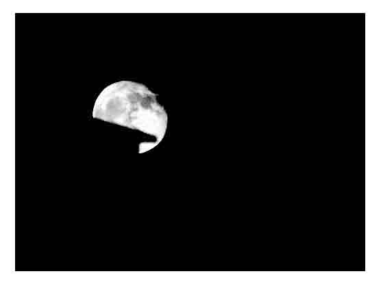 [luaechamineweb.jpg]