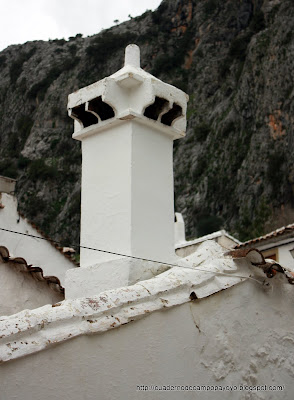 Cuaderno de Campo Payoyo: marzo 2010