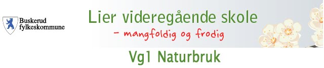 Lier vgs, Vg1 Naturbruk