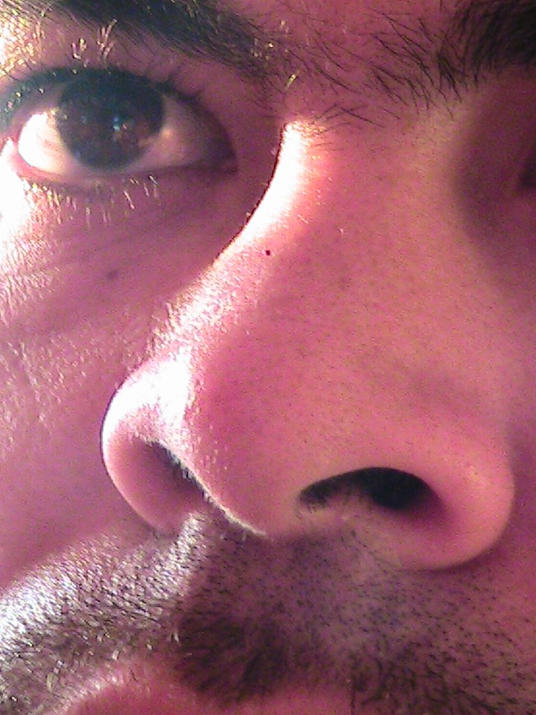 [IMG_0756.JPG]