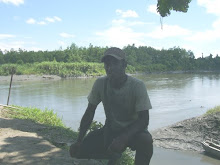 Mangrove