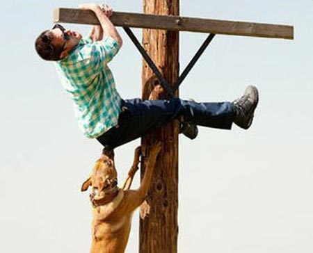 Jackass 3D