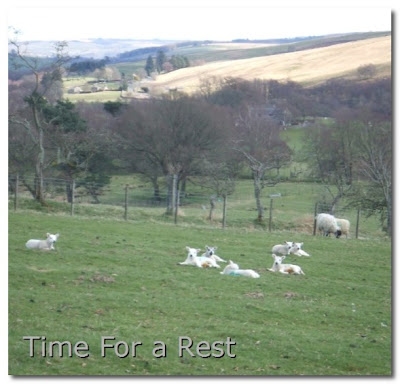 northumberland at springtime northumberland at springtime