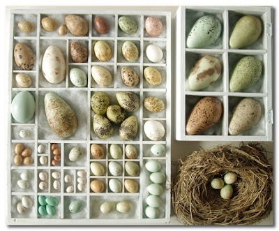 designers block handmade bird eggs birds eggs 400x331 designers block handmade bird eggs birds eggs 400x331