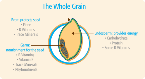 [chart_wholeGrain.gif]