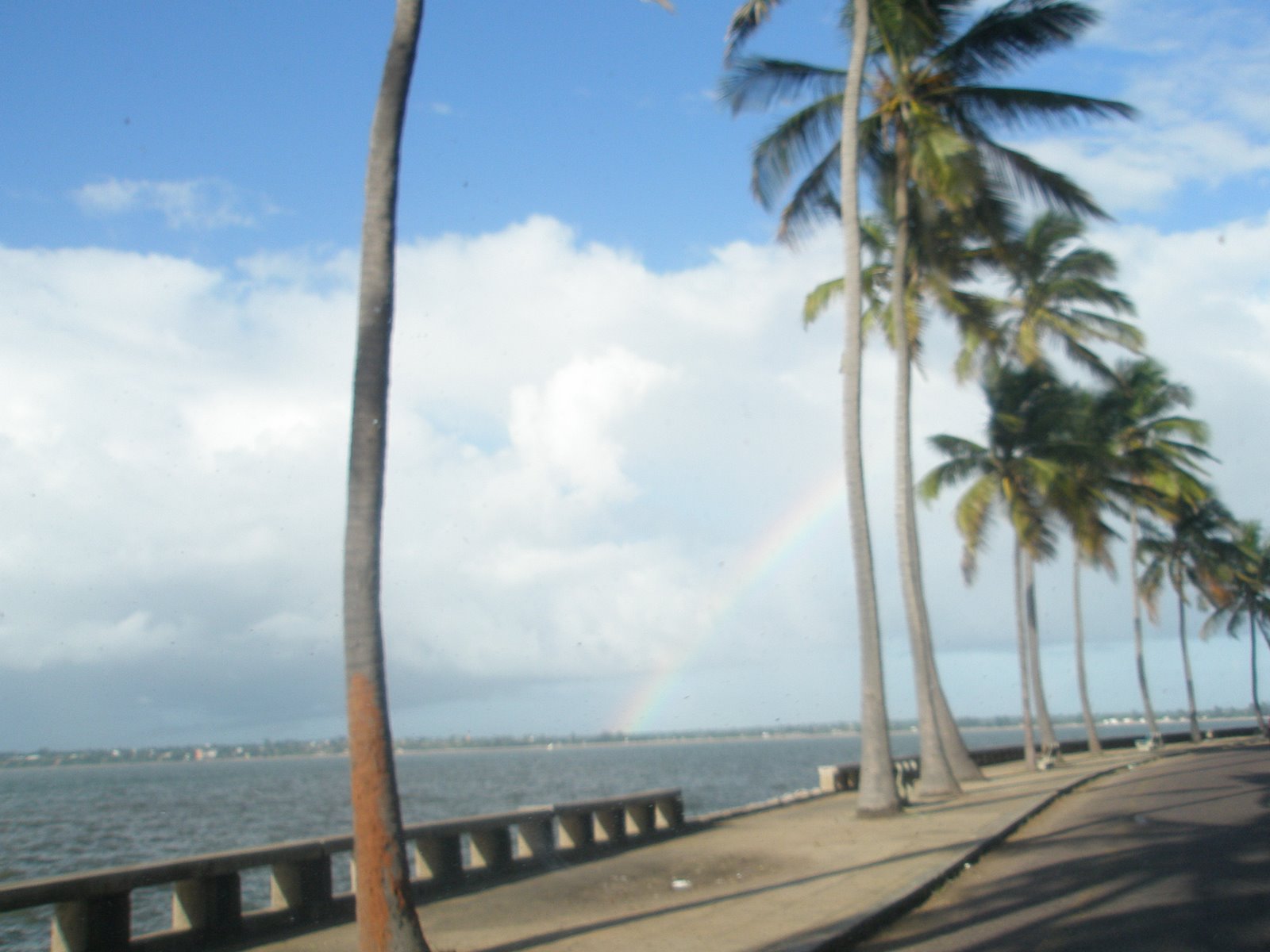 [P2230791.JPG]