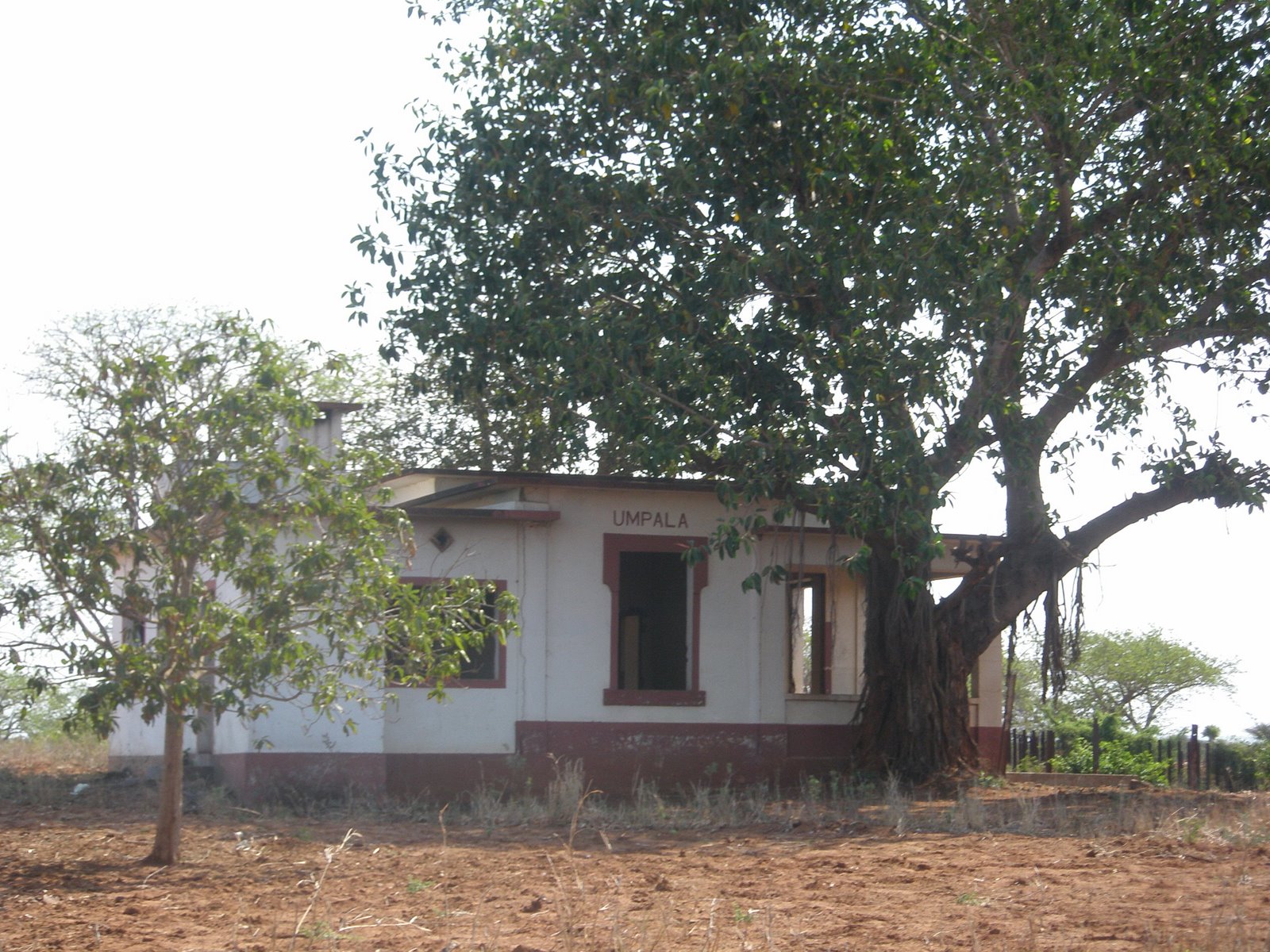 [PA240314.JPG]