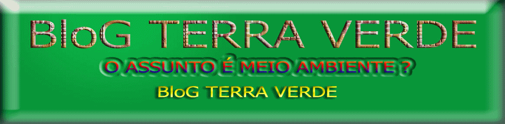 TERRA VERDE