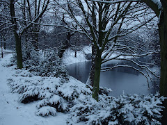 Winter in Bremen