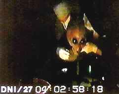 [alieninterview.jpg]