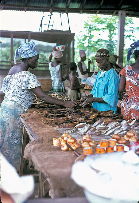 Dry Bunga (fish) at Mekonde