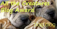 Awards that this blog has won