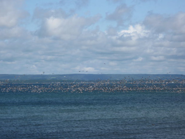 [IMG_3683.jpg]