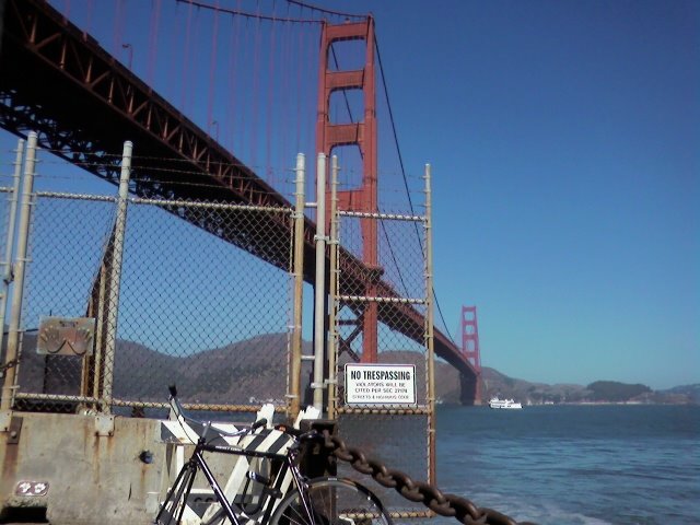 [x-image0080.jpeg]