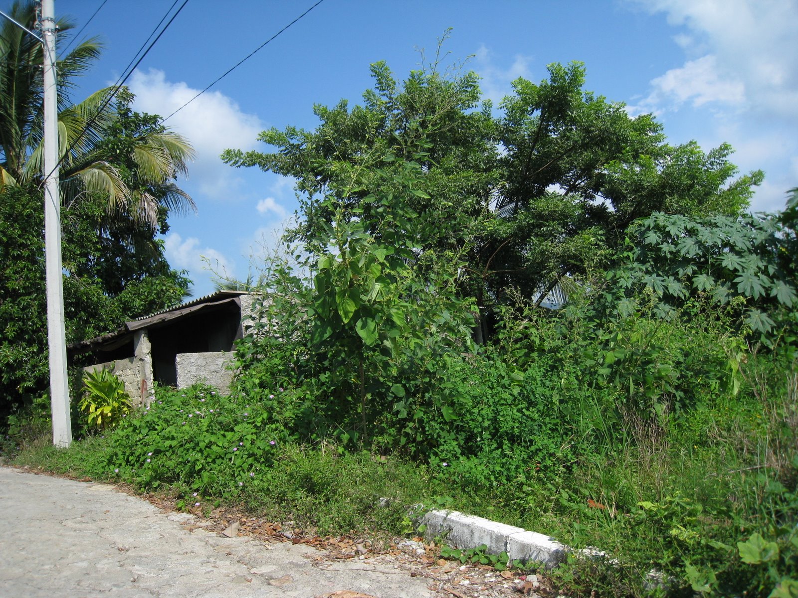 [STE_0944.JPG]