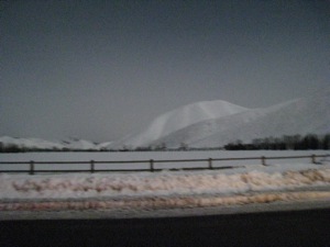 [IMG_2341.JPG]