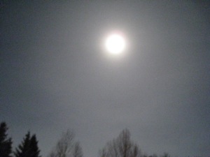 [IMG_2339.JPG]