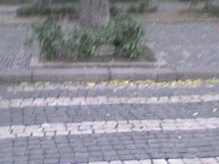 [Castelo+Branco,+acessibilidades+(5).JPG]