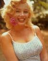 The Lovely Marilyn