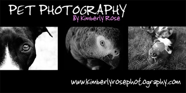 Pet Photography By: Kimberly Rose