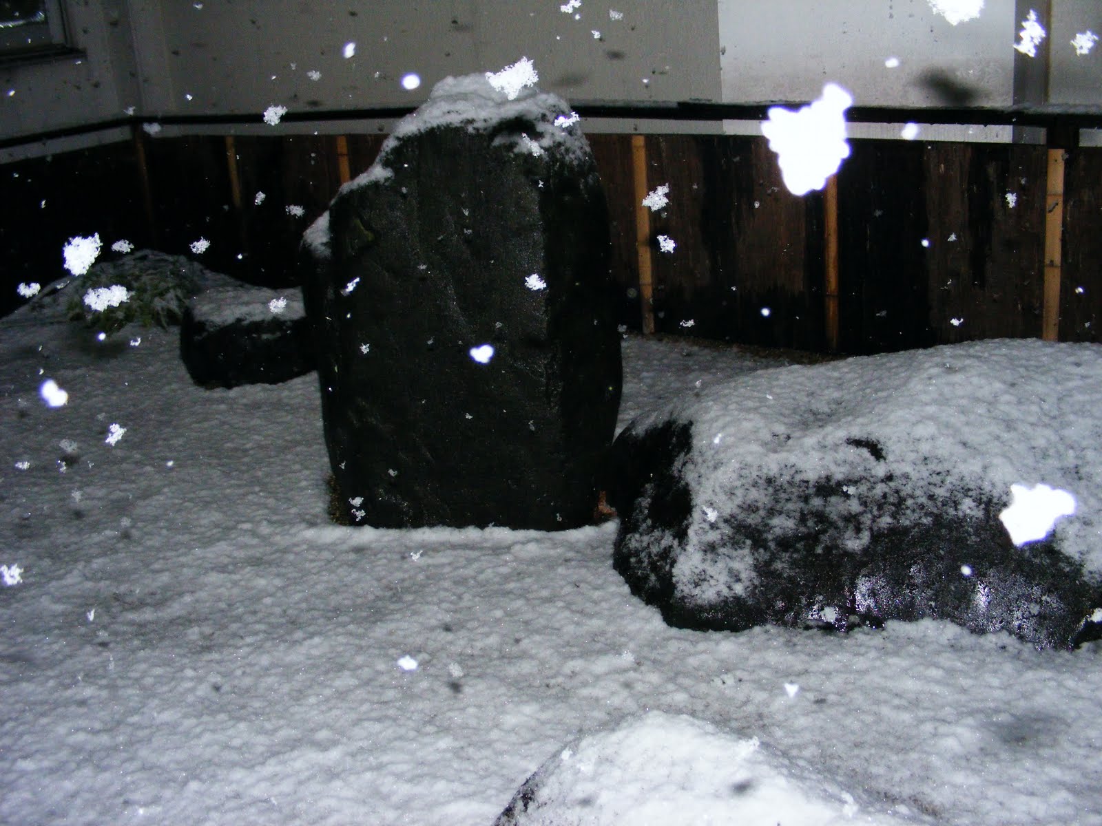 [DSCF5364.JPG]