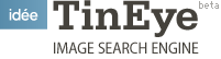 TinEye image search engine