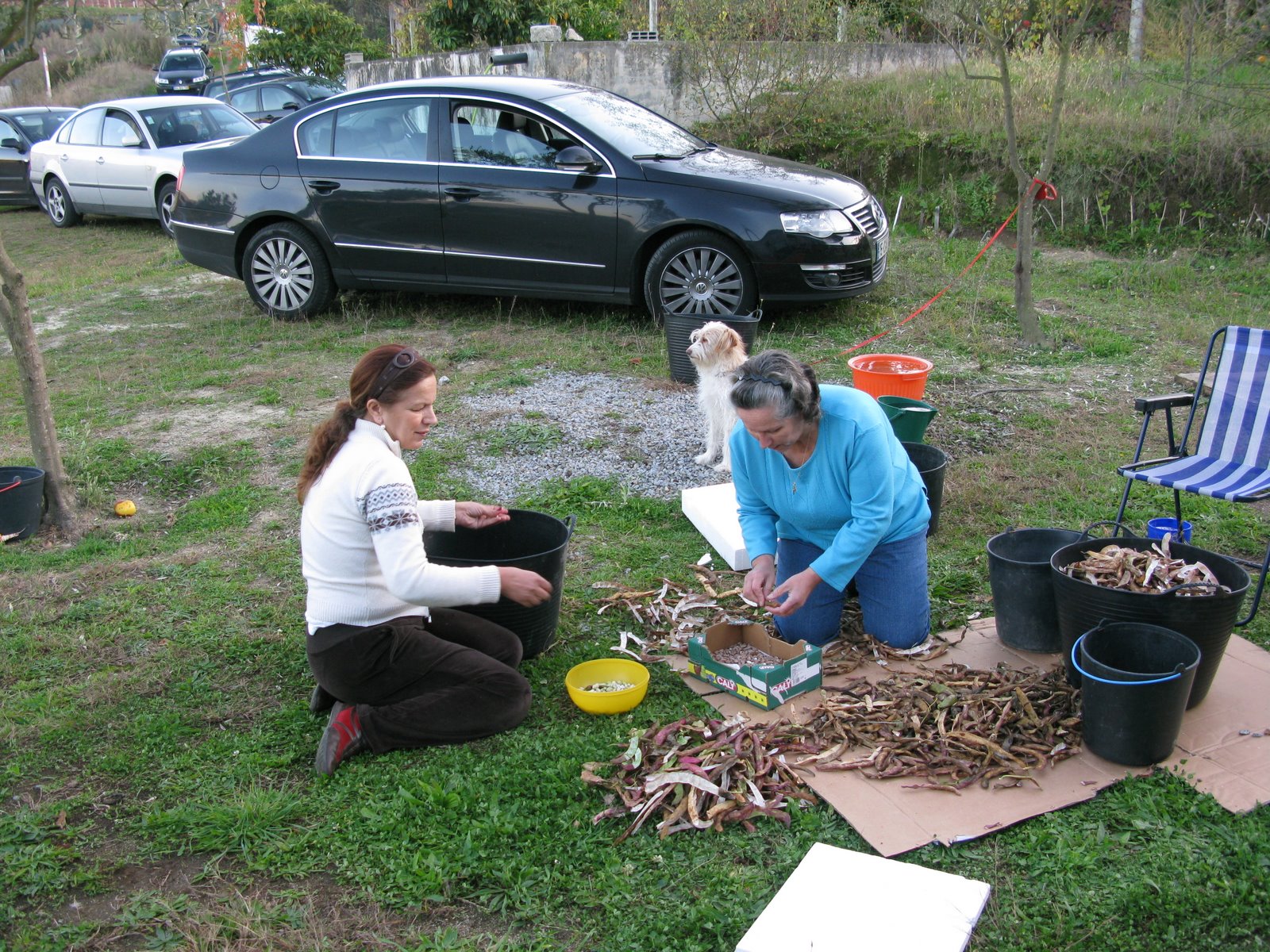 [IMG_4082.JPG]