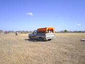 O transporte na festa