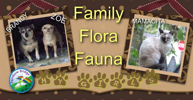familyflorafauna