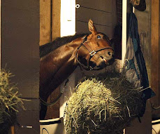 HIPISMO EN CALIENTE