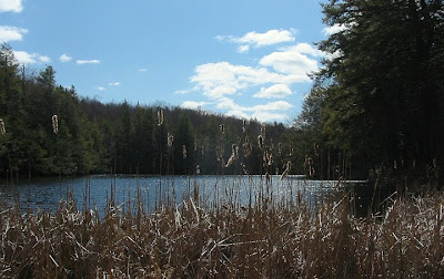 View from the dam at Burr Pond