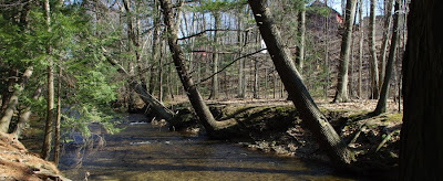Mill River in Amherst Massachusetts