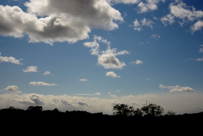 Darkened landscape at Umass