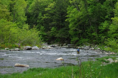 A fisherman in the East Branch of the Westfield River