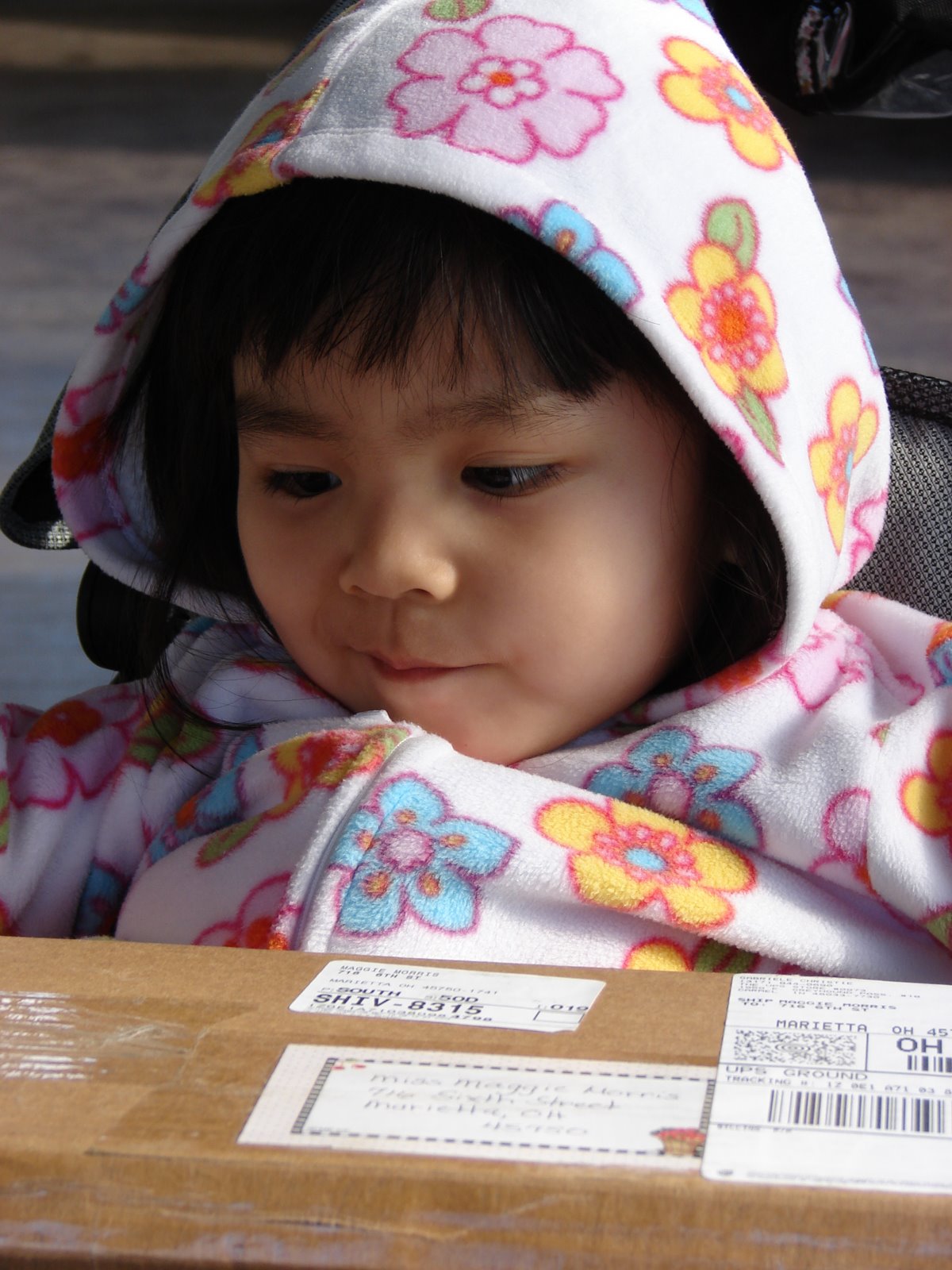 [DSC01992.JPG]