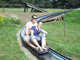 Riding the summer "luge"