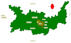 MAPA DEL MUNICIPIO DE SAN PELAYO