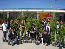 Donación de árboles por parte del Municipio de Cuautitlán Izcalli