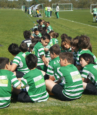 Dia Verde XI