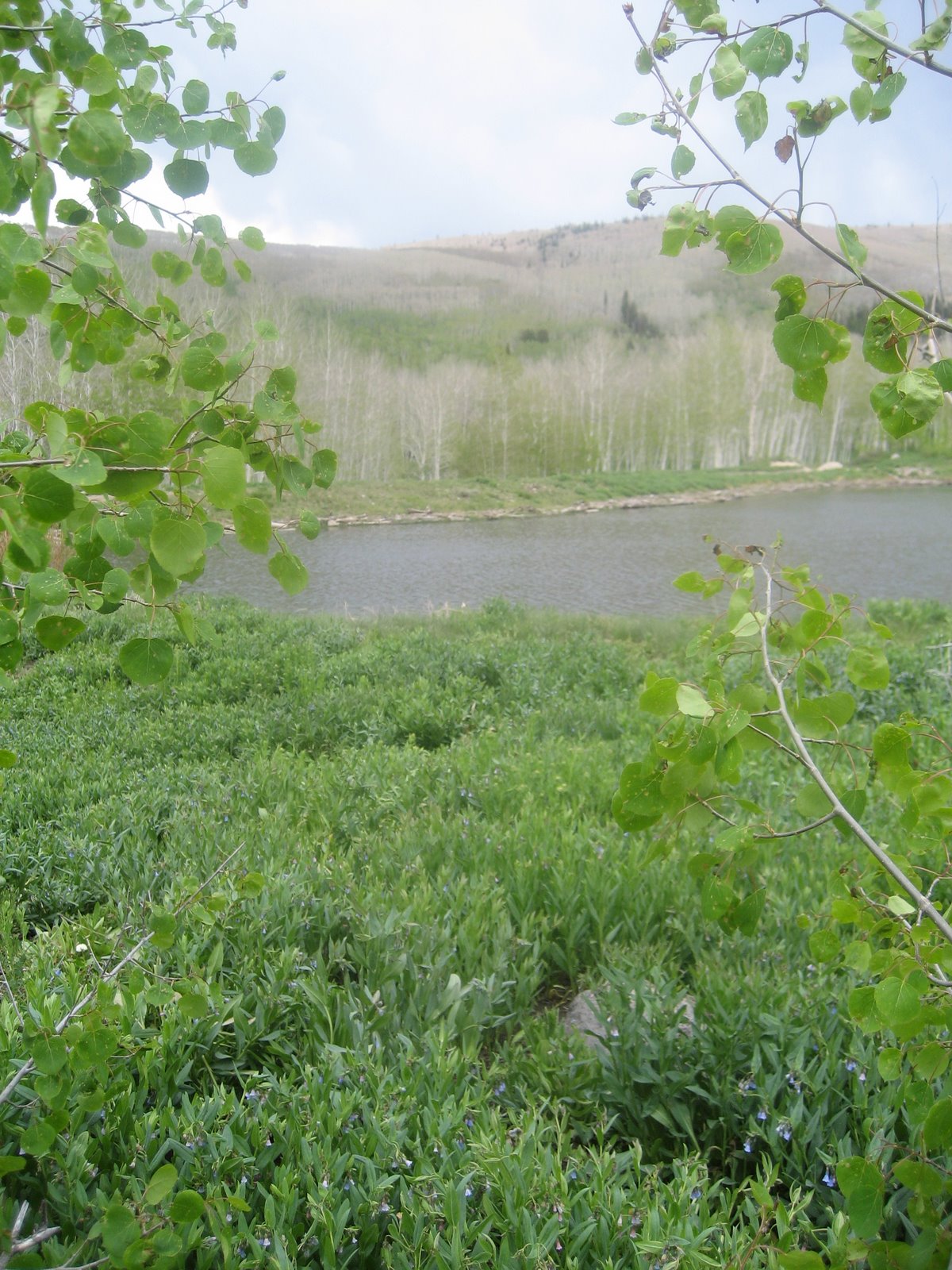 [IMG_0085.JPG]