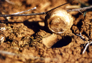 Mallorca es así también: 27/09/09 - 4/10/09