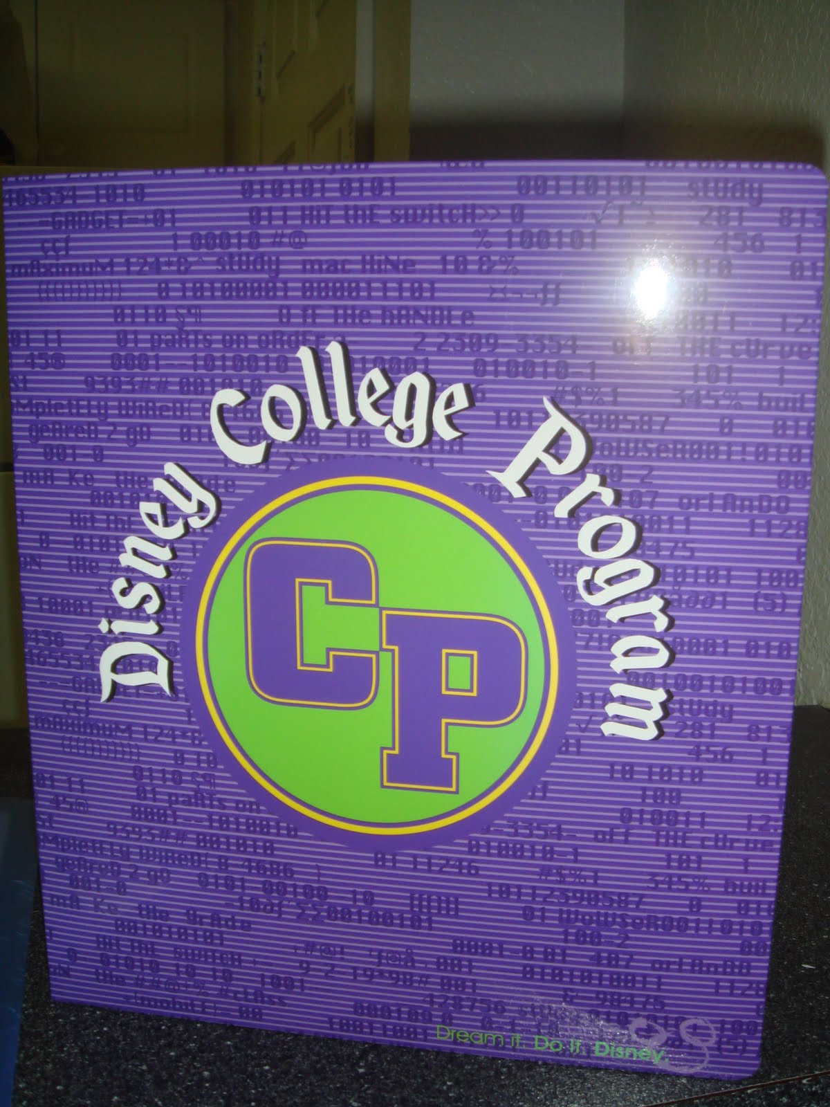 Dreaming.......... Disney College Program Collegiate Courses!