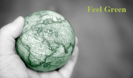 Feel Green