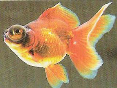 The Patterns and Textures of my Mask