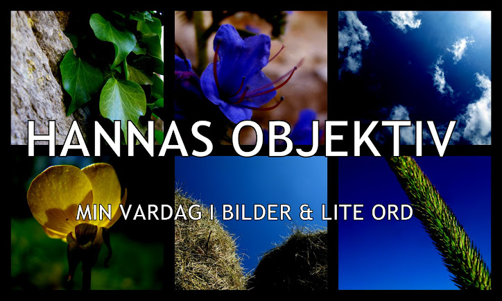 HANNAS OBJEKTIV