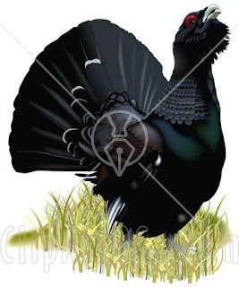 grouse tattoo image