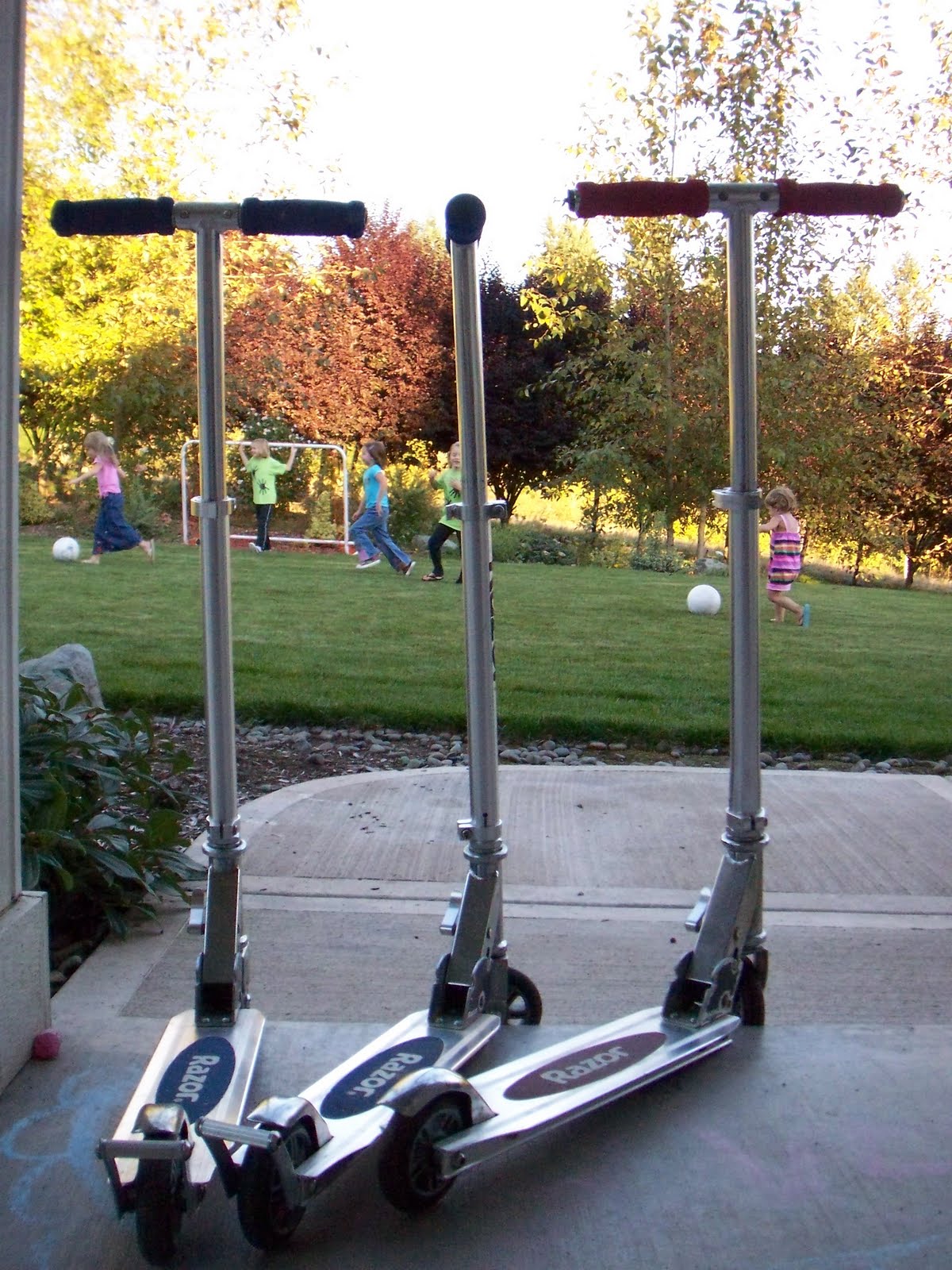 Eclectic Photography Project: Day 224 - scooters